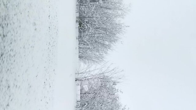 Winter landscape car window. Travel in winter by car or train. Rapid movement outside the window. Vertical winter landscape. Trees strewn with snow. The concept of bad weather, snowfall, car trips