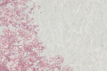 咲き誇る満開の桜の花、和紙に写した日本のイメージ