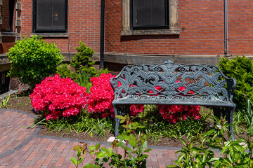 A metal bench in the front garden of a house and bright red azaleas in downtown Boston,...