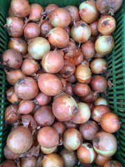 Box of freshly harvested onions