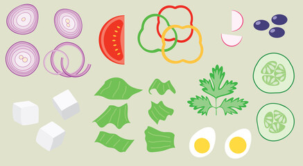 ingredients for salad - onion, tomato, bell peppers, cucumbers, parsley, eggs - vector illustration