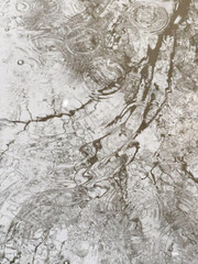 Puddle with rain circles and tree reflections. Rain drops of water on the surface ripples. Gray water, which reflects the black tree trunk and branches. Selective focus