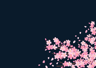 Obraz premium 桜の花のイララスト 背景素材 カードデザイン ネイビーの背景