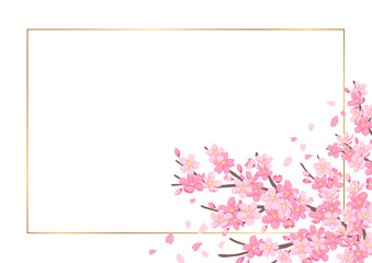 桜の花のイララスト　背景素材　カードデザイン　白背景にゴールドのフレーム