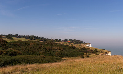 Fototapeta na wymiar Grassland on the white cliffs of Dover, UK