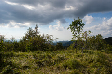Scenic view in the countryside, sun breaks through the cloud forming a beautiful light on the meadow, taken in nature park Učka in Croatia