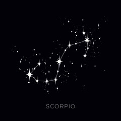 Star constellation zodiac scorpio vector