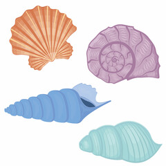 A set of colored seashells. Isolated vector illustration on a white background