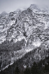 Fototapeta premium Winter wonderland landscape with fog, snow covered trees and mountains