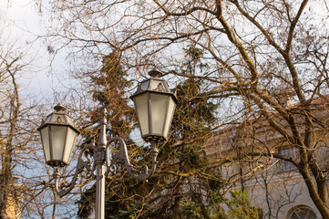 Fototapeta na wymiar Old vintage Odessa street light lanterns in front of spring tree branches in warm evening sun light