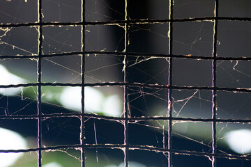 Hopelessly awaited freedom behind old chain fence panel.