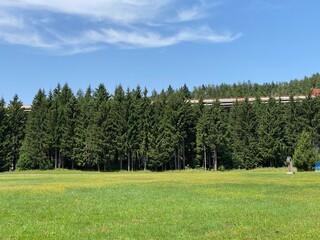 Obraz premium Golubinjak Forest Park in the mountainous region of Gorski kotar - Sleme, Croatia (Park šuma Golubinjak u planinskoj regiji Gorskog kotara - Sleme, Hrvatska)