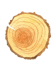 Hand painted watercolour set of christmas decor.