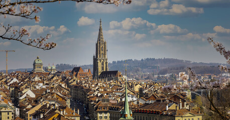 Beautiful view of the landscape of old town in Bern city -Switzerland as the cherry blossom flower in Spring season  background - obrazy, fototapety, plakaty