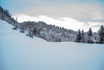 Fototapeta na wymiar Winter / Landschaft