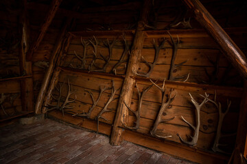 old wooden box with deer horns