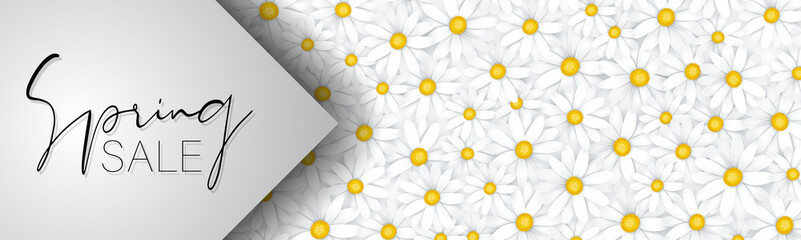 Spring sale banner or newsletter header. Tender white realistic daisy flowers. Floral promo design. Vector illustration.