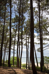 Fototapeta premium Arcachon nouvelle aquitaine sud ouest