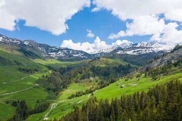 The green countryside and some meadows in the mountains in Europe, in France, towards Beaufort, in the Alps, in summer, on a sunny day.