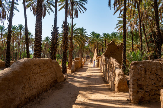 Oasis of Al Ula