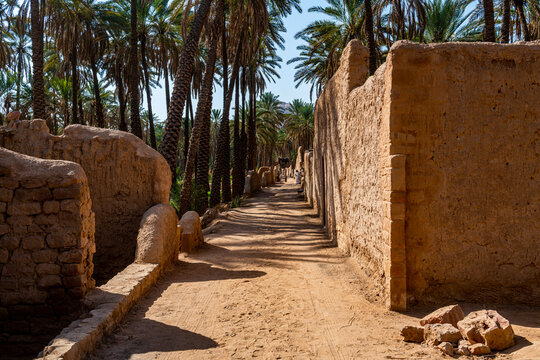 Oasis of Al Ula