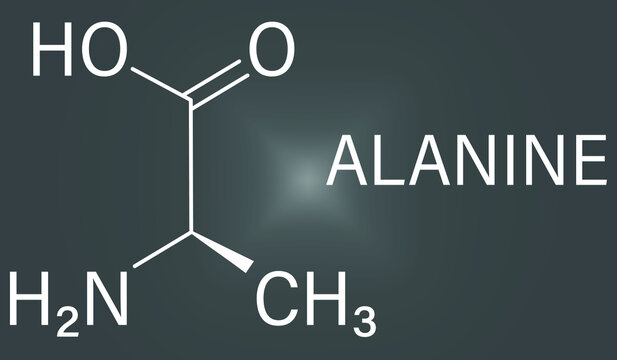 Alanine or L-alanine, Ala, A, amino acid molecule. Skeletal formula.