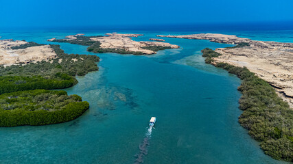 Aerial of the Mangrove forest, Farasan islands