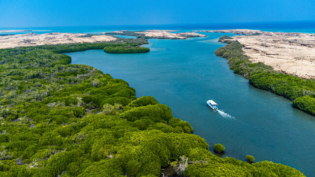 Aerial Of The Mangrove Forest, Farasan Islands