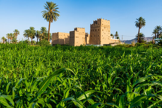 Traditional build mud towers used as living homes, Najran