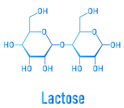 Lactose milk sugar molecule. Skeletal formula.