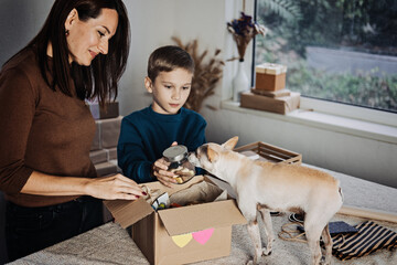 Support local business, small business. Pet shop owner, mom and kid putting bone in Pet Subscription Box for Dogs. Chihuahua dog and Subscription pet box with Organic Treats, Fun Toys