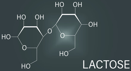 Lactose milk sugar molecule. Skeletal formula.