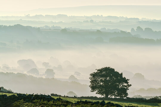 Early morning mist in the Esk Valley around Lealholm in the North Yorkshire Moors National Park, Yorkshire