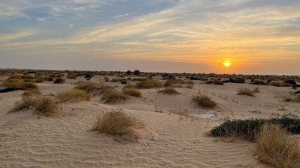 sunset on the beach