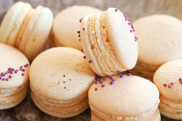 Macarons-Vanille