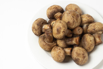 Boiled mushrooms on a white background. Boiled champignons on a white plate. Healthy diet