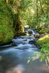 Obraz premium Long exposure of small wild mountain river Rio Savegre. Stunning landscape of wilderness and pure nature. San Gerardo de Dota, Costa Rica.