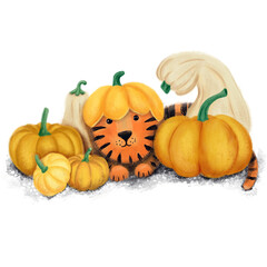 Happy Chinese new year greeting card 2022 with cute tiger in different season location for calendar. Animal holidays cartoon character.