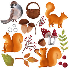 Forest plant set with white an