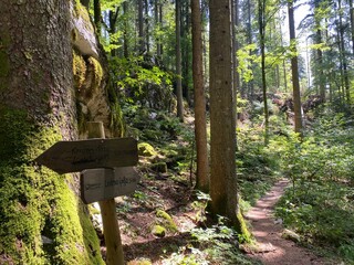 Marked tourist-hiking trail in Golubinjak forest park or Cave trail in Gorski kotar - Sleme, Croatia (Markirana turističko-planinarska staza u park &scaron;umi Golubinjak ili Staza spilja u Gorskom kotaru)