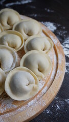 dumplings, a traditional dish of Russian cuisine, made of dough stuffed with minced meat, minced meat, cooking process, modeling, recipe