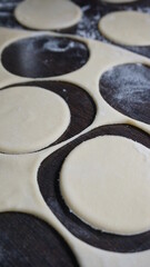 cooking process, modeling, recipe, dough, cut out round pieces, roll out with a wooden rolling pin, flour, dumplings