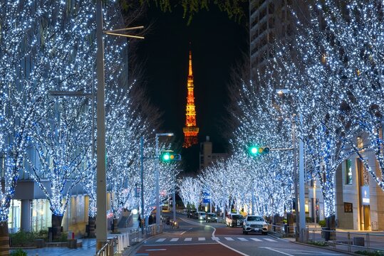 けやき坂のイルミネーション