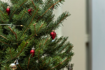 Part of Christmas tree decorated with red hearts, silver round ornament and Xmas electric lights. Decorated Christmas tree branches indoor