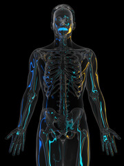 3d rendered illustration of the teeth