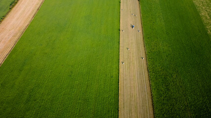 Champ, bottes de paille et tracteur