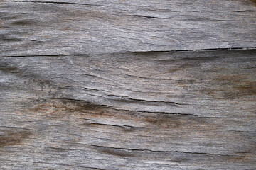 Plakat Wood texture abstract background. Surface of wood with nature color and pattern.