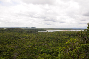 View of amazonian savannah vegetation in the city of Alter do Ch&atilde;o, in the state of Par&aacute;, Brazil.