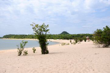 View of the vegetation in the prais of Alter do Chão, state of Pará, Brazil, with the piraoca hill in the background. An island with freshwater beaches of the Tapajós River,in the Amazon rainforest.