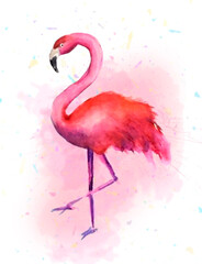 Bright pink flamingo watercolor